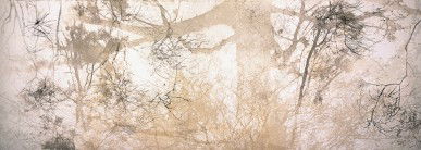 Dianne Tanzer Gallery & Projects - Accommodation Brisbane 3