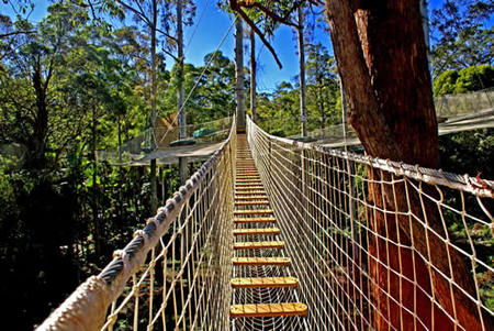 Thunderbird Park - Accommodation Brisbane 0