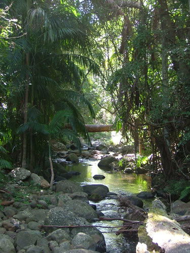 Thunderbird Park - Accommodation Brisbane 2