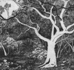 Tacit Contemporary Art - Accommodation Brisbane