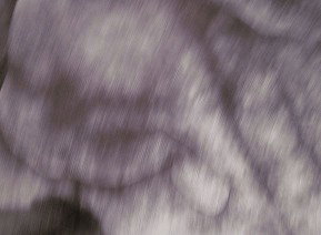 69 Smith Street - Accommodation Brisbane 1