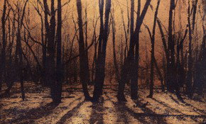 69 Smith Street - Accommodation Brisbane 2