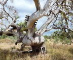 Colour Factory Gallery - Accommodation Brisbane 3
