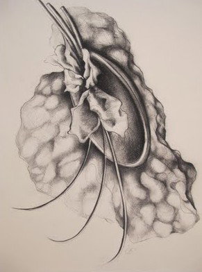 The Library Artspace - Accommodation Brisbane 1