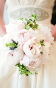 Karralyka Centre - Accommodation Brisbane 3