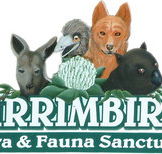 Wirrimbirra Sanctuary - Accommodation Brisbane