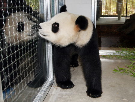 Adelaide Zoo - Accommodation Brisbane 3