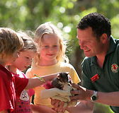 Cleland Wildlife Park - Accommodation Brisbane