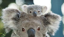  Accommodation Brisbane