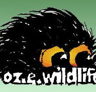 OZe Wildlife - Accommodation Brisbane
