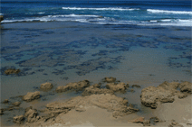 Canberra Contemporary Art Space - Accommodation Brisbane