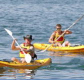 Manly Kayaks - Accommodation Brisbane
