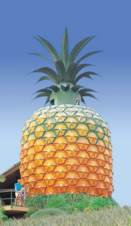 The Big Pineapple - Accommodation Brisbane 0