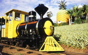 The Big Pineapple - Accommodation Brisbane 3