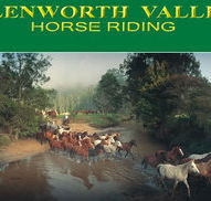 Glenworth Valley Horseriding - Accommodation Brisbane