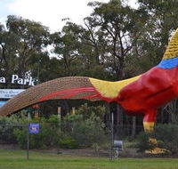 Gumbuya Park - Accommodation Brisbane