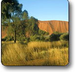 Uluru - Kata Tjuta National Park - Accommodation Brisbane