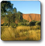 Uluru - Kata Tjuta National Park - Accommodation Brisbane 0