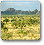 Uluru - Kata Tjuta National Park - Accommodation Brisbane 2