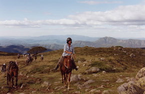 High Country Horses - Accommodation Brisbane 0