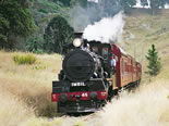 Storeyline Tours - Accommodation Brisbane 2
