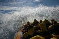 Jetboating Sydney - Accommodation Brisbane 1