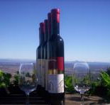 Mount Tamborine Winery  Homestead - Accommodation Brisbane