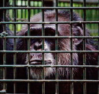Rockhampton Zoo
