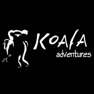 Koala Adventures - Accommodation Brisbane 0