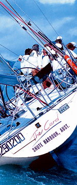 Koala Adventures - Accommodation Brisbane 1