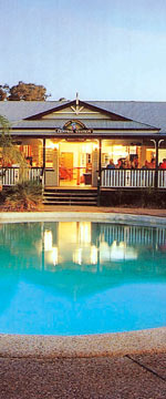 Koala Adventures - Accommodation Brisbane 2