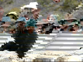 Prospect TAS Accommodation Brisbane