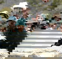 Tasmania Zoo - Accommodation Brisbane