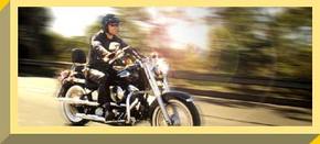 Easy Rider - Accommodation Brisbane 1