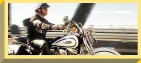 Easy Rider - Accommodation Brisbane 2