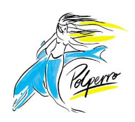 Polperro Dolphin Swims - Accommodation Brisbane 0