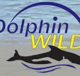 Dolphin Wild - Accommodation Brisbane