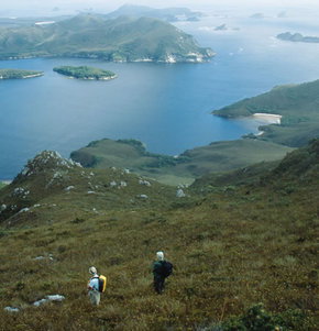 Roaring 40s Kayaking - Accommodation Brisbane 1