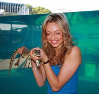 Crocosaurus Cove - Accommodation Brisbane