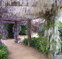 Abingdon Miniature Village - Accommodation Brisbane