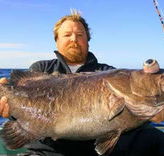 Bravo Fishing Charters - Accommodation Brisbane