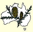 Australian National Botanic Gardens - Accommodation Brisbane