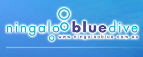 Ningaloo Blue Dive - Accommodation Brisbane 0
