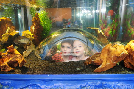 Scitech - Accommodation Brisbane 3