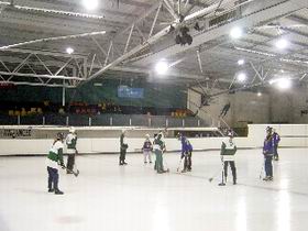The Ice Arena - Accommodation Brisbane 2