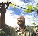 Barossa Experience Tours - Accommodation Brisbane