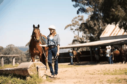 Watsons Trail Rides - Accommodation Brisbane