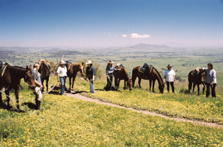 Watsons Trail Rides - Accommodation Brisbane 1