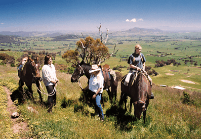 Watsons Trail Rides - Accommodation Brisbane 2