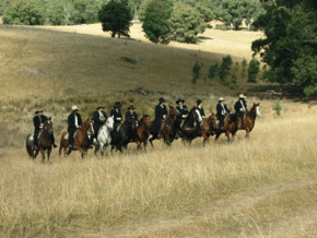 McCormacks Mountain Valley Trail Rides - Accommodation Brisbane